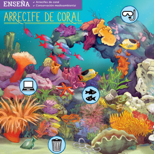 arrecife de coral libro magibook