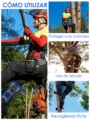 TELAM Tree Climber Set with Pole Climbers