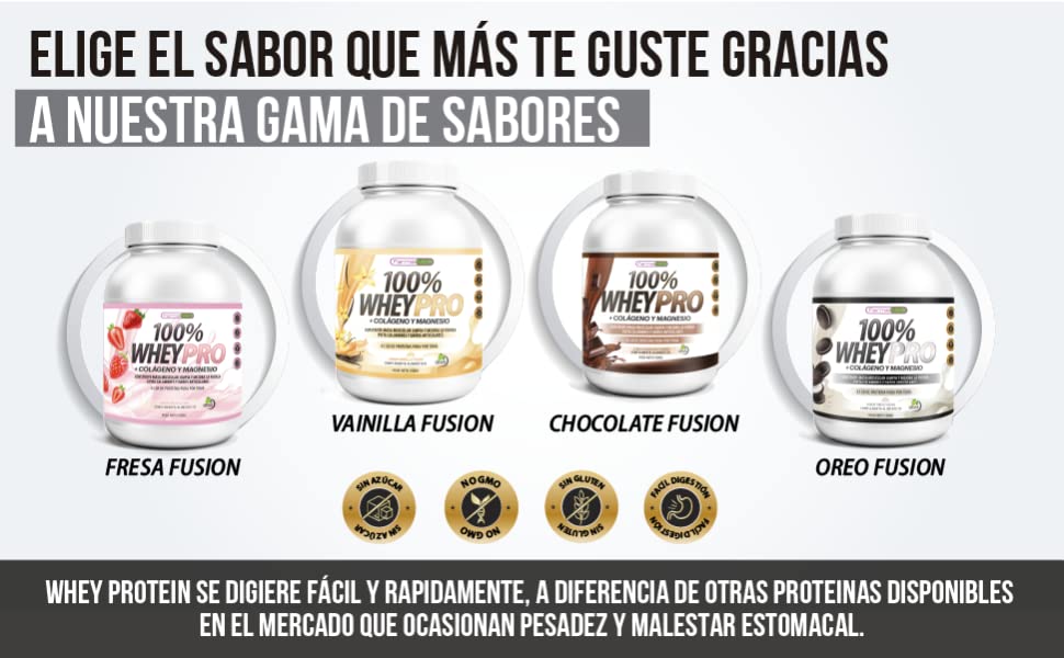 whey protein, whey, proteina, proteina whey, proteina chocolate, proteina polvo, proteina iso