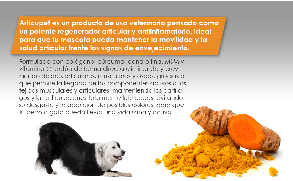 amtiinflamatorio perros, articulaciones perros, suplemento para perros, cuidaod del perro