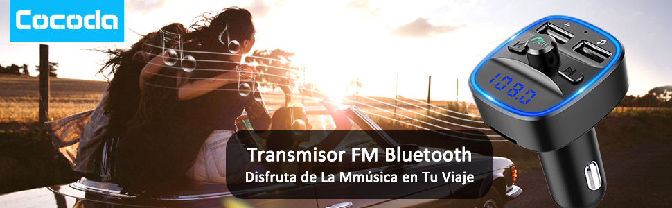 transmisor fm