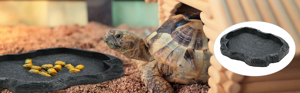 resina Antideslizante Escalada Mascota Tortuga Camaleón Lagarto Roca Bebedero de comida Plato