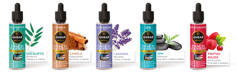 esencias ambar perfums