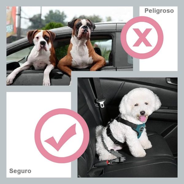 SlowTon cintur??n de Seguridad para Perros,Doble Cinturon Perro Coche, sin enredo Pet Correa el??stica Ajustable Tira Reflectante cintur??n de Seguridad (Gris) - Imagen 4