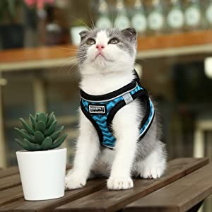 Suredoo Arnés Perro Pequeños Reflectante Rose Azul Negro Blanco Marrón