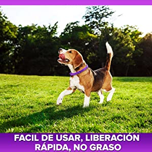 Tratamiento de pulgas para perros, collar ajustable para perros, protecci??n para 8 meses tratamiento