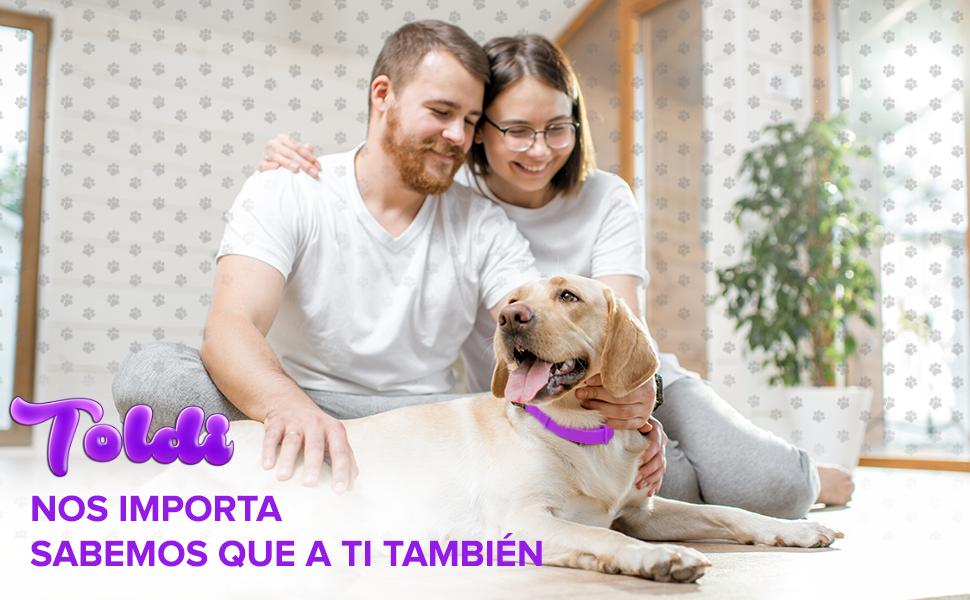 Tratamiento de pulgas para perros, collar ajustable para perros, protecci??n para 8 meses tratamiento