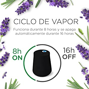 ciclo de vapor