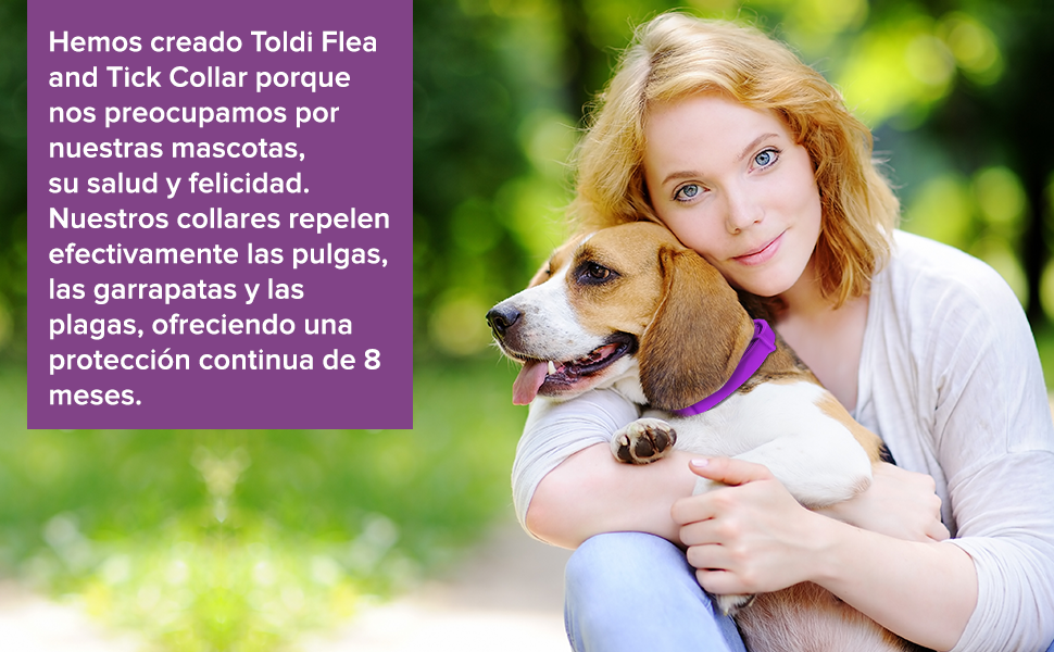 Tratamiento de pulgas para perros, collar ajustable para perros, protecci??n para 8 meses tratamiento