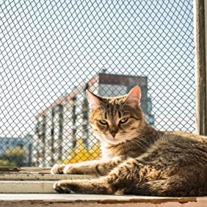 Red para gatos.