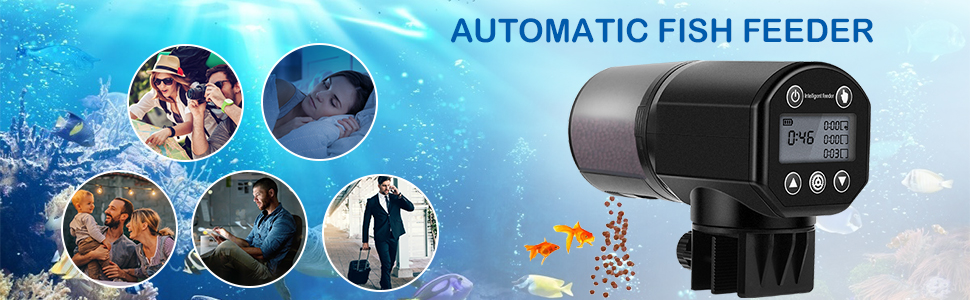 comedero automatico peces