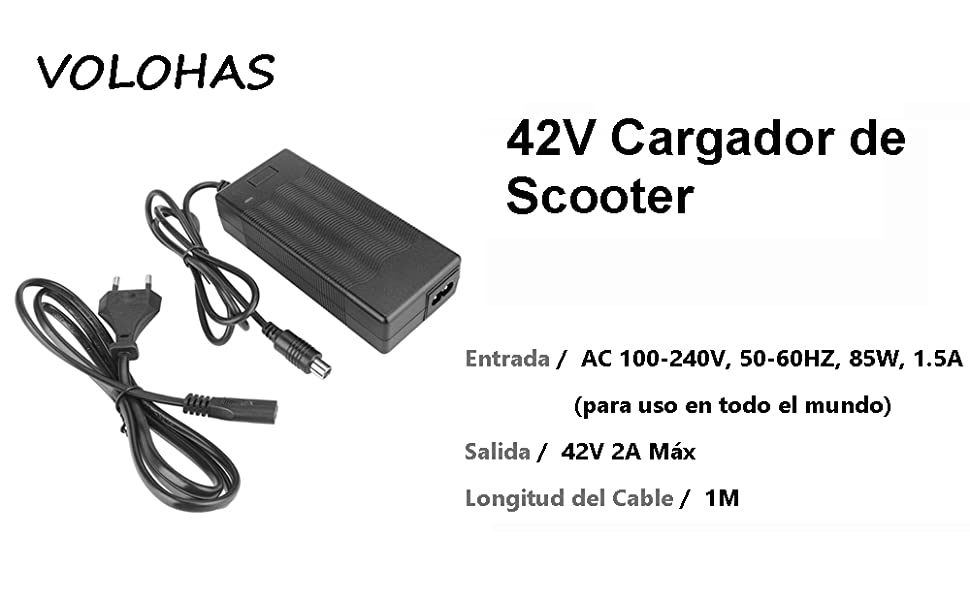 42 V Cargador de Scooter