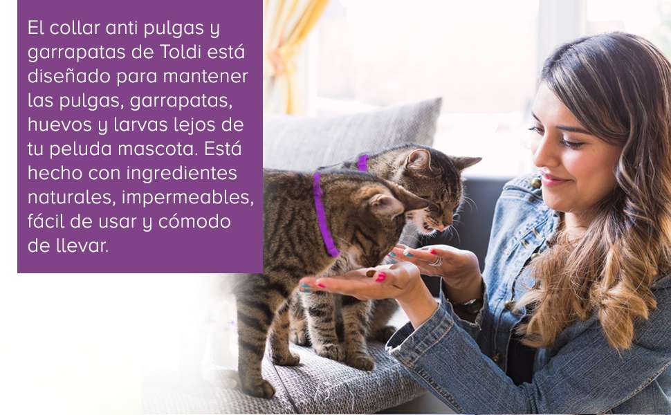 Tratamiento de pulgas para perros, collar ajustable para perros, protecci??n para 8 meses tratamiento