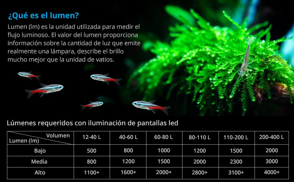 Imagen de lumen