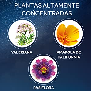 arkosue?o plantas medicinales para dormir