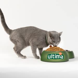 Ultima; Gato; cat; esterilizado; Affinity, pollo; salmón; Adultos; gatos; Affinity; Pienso para gato