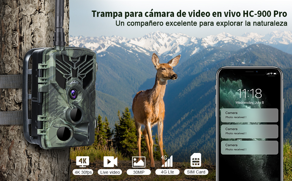 trail camera