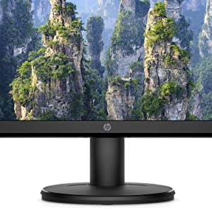 HP Monitor