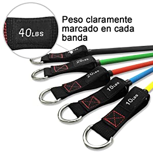 bandas elásticas