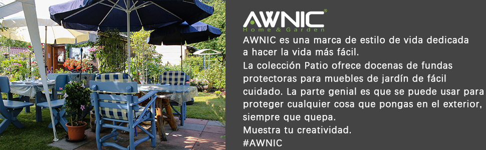 AWNIC cover